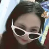 ca_chua339