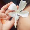 user065733588