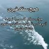 fariba.sh83