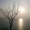 chanaka.nalin1