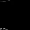 zx_sast