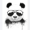 iancu_boss_jr