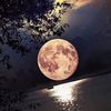 fatima.mohammed7642