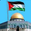 islamic_video.786786