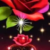 user45835126067338