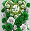 user9418634442071