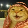 aldisnsysh
