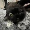 alenke.notke13
