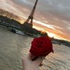 yasmineharoun366