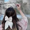 a_y3.3