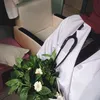 dr.fatima3377