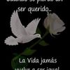 ricardo.bermudez558