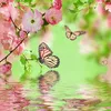 shalon_luz