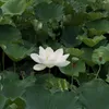 quynh.phuongthwcauduongg