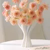 rose98765432