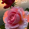 user8747618325091