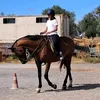 alejandri686