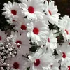 user34081121107340