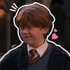 hppotterheads