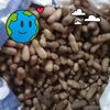 estela.pea956