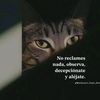 elweritofalso.com