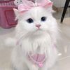 naomi_paxuuww