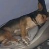 gabi_0.08