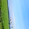 diber_14