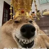 thiknge.nhac