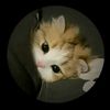 may_aranda_tapia