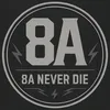 8a_levantam