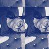 cicii_soft_spoken