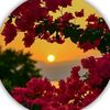 abdullmary742