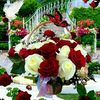 user2865576157912