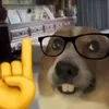 canhhnguyn2