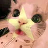 nguyn.trn.nht.vi