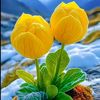 user1195762248170