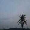 shohan.hassan58