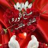 jamalhaj511