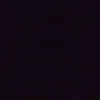 pukekoaykulayrosas_1234