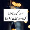rahis.khan09