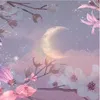 CherryBlossomMoon🌸🌙