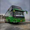 .fjr.trans