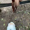 everythingisconnected1