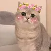 minhzz25