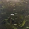 angel_paint