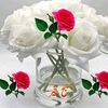 yousaf.mastoi3