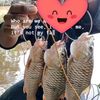 shahbadrul18