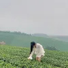 voyeuanhnay7