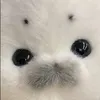 heartst3ller